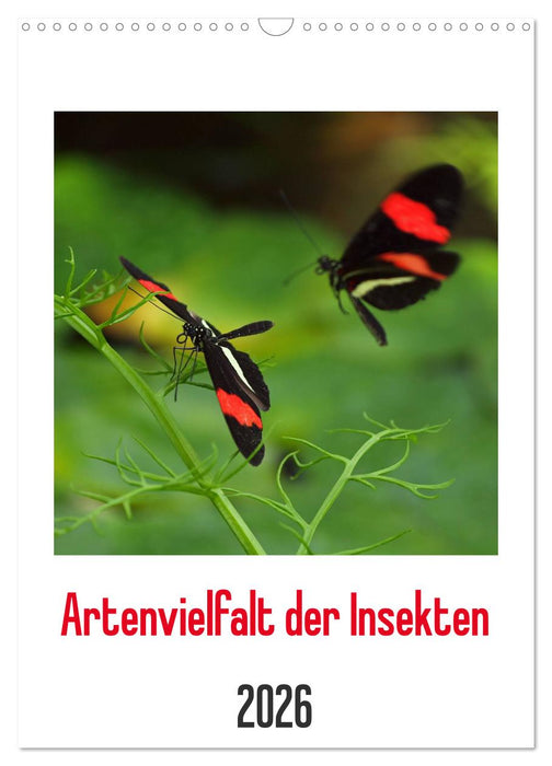 Artenvielfalt der Insekten (CALVENDO Wandkalender 2026)