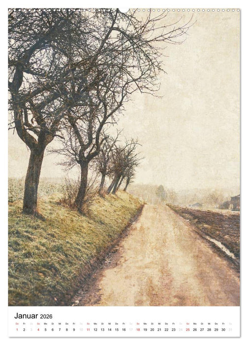 Landschaften, von Licht erfüllt (CALVENDO Premium Wandkalender 2026)