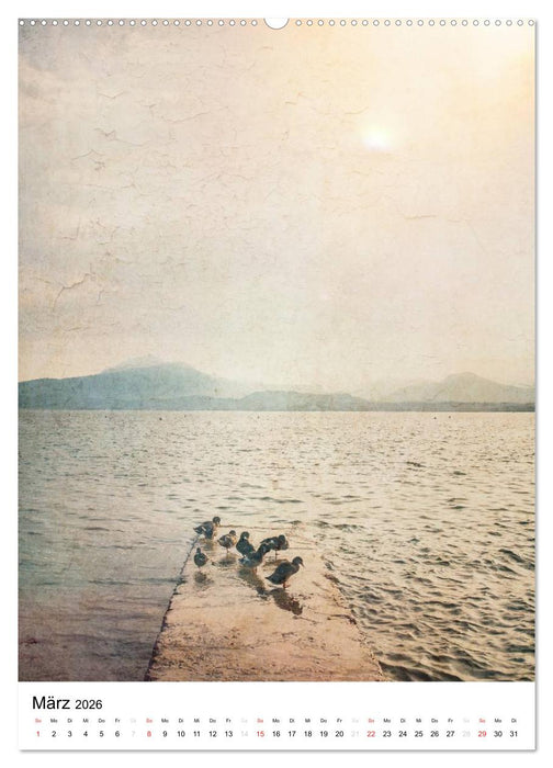 Landschaften, von Licht erfüllt (CALVENDO Premium Wandkalender 2026)