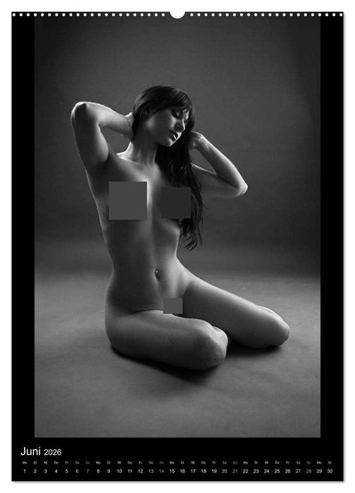 Adorned Nudes - Schmuck und Akt (CALVENDO Premium Wandkalender 2026)
