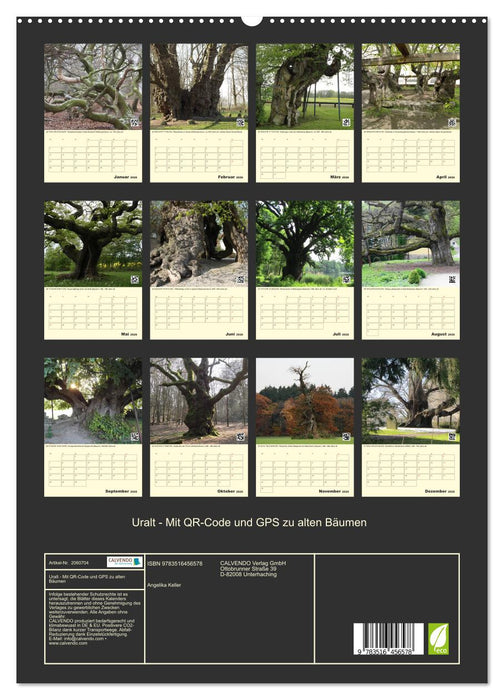 Uralt - Mit QR-Code und GPS zu alten Bäumen (CALVENDO Premium Wandkalender 2026)