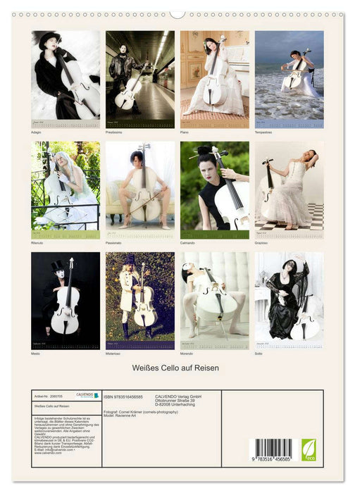 Weißes Cello auf Reisen (CALVENDO Premium Wandkalender 2026)