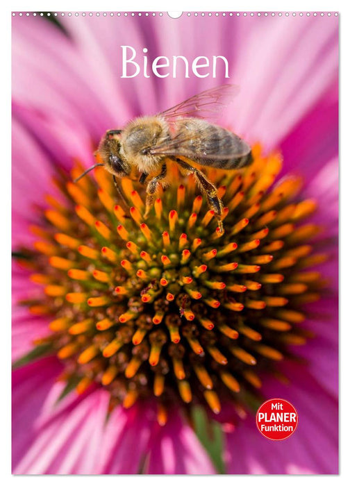 Bienenplaner (CALVENDO Wandkalender 2026)