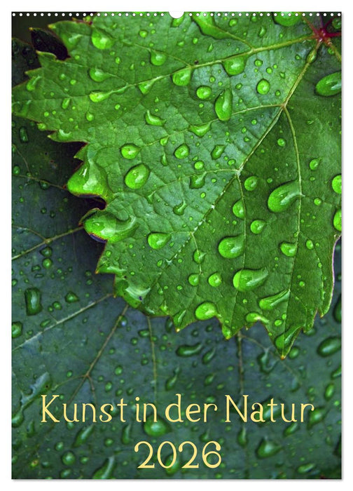 Kunst in der Natur (CALVENDO Wandkalender 2026)