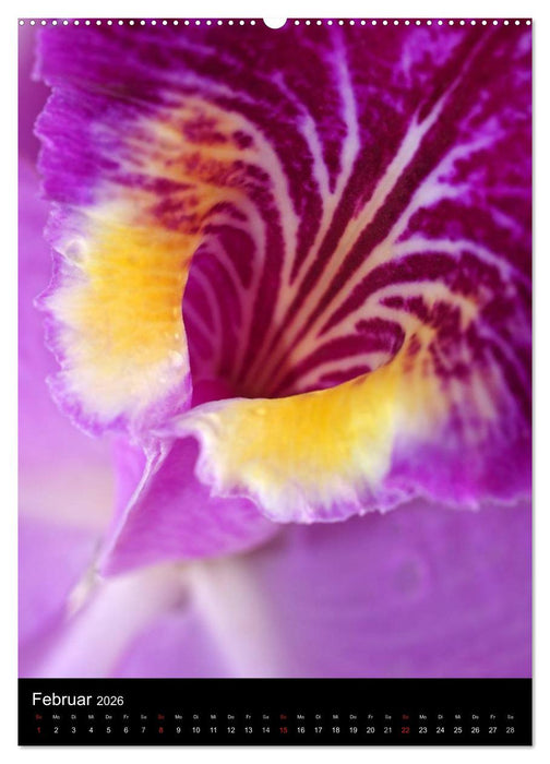 Kunst in der Natur (CALVENDO Wandkalender 2026)