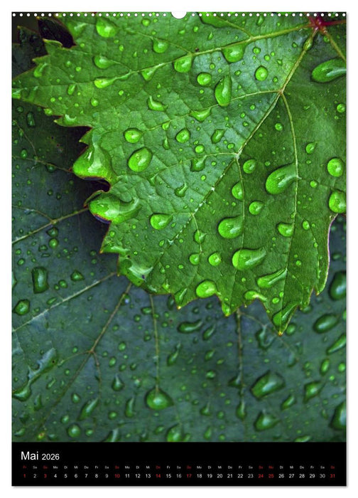 Kunst in der Natur (CALVENDO Wandkalender 2026)