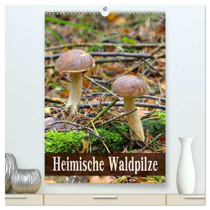 Heimische Waldpilze (CALVENDO Premium Wandkalender 2026)