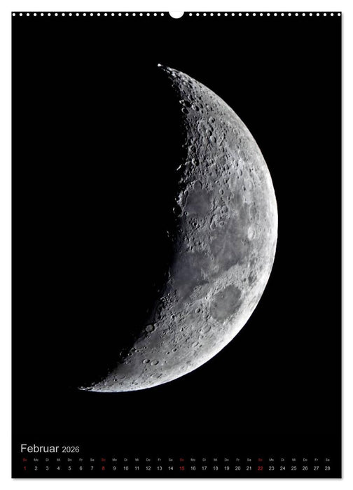 Schönheit des Universums (CALVENDO Premium Wandkalender 2026)