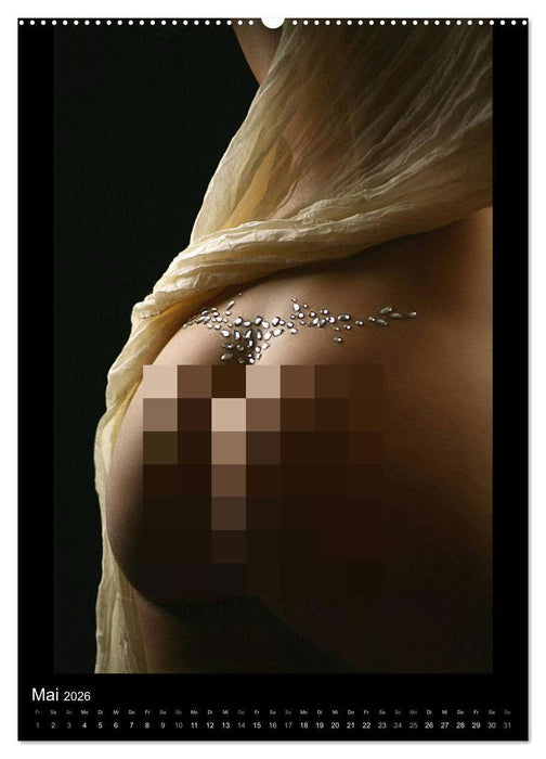 Adorned Nudes - Schmuck und Akt (CALVENDO Wandkalender 2026)