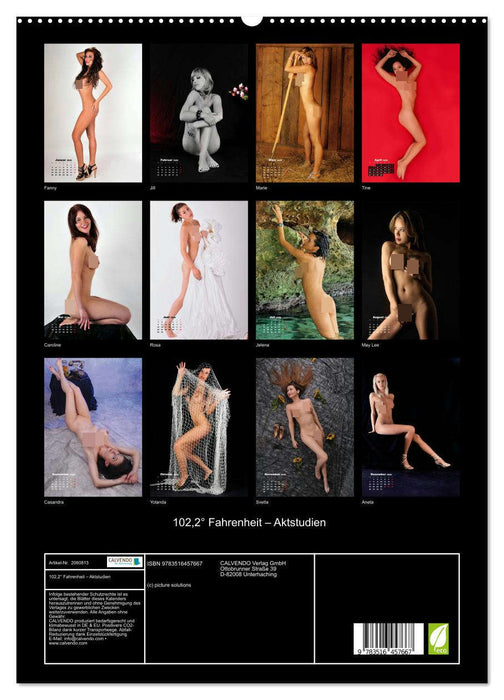 102,2° Fahrenheit – Aktstudien (CALVENDO Premium Wandkalender 2026)