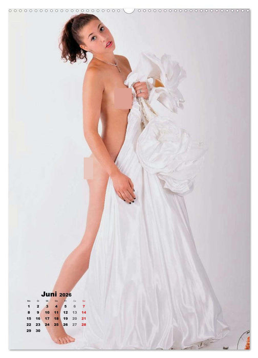 102,2° Fahrenheit – Aktstudien (CALVENDO Premium Wandkalender 2026)