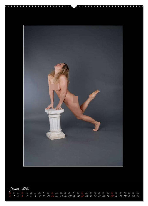Venudia Sternzeichen - Aktfotografie (CALVENDO Premium Wandkalender 2026)