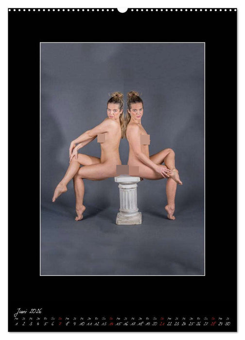 Venudia Sternzeichen - Aktfotografie (CALVENDO Premium Wandkalender 2026)