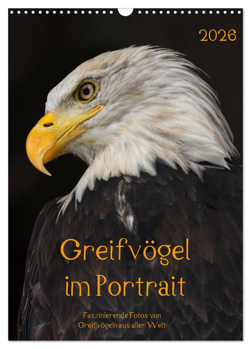 Greifvögel im Portrait (CALVENDO Wandkalender 2026)