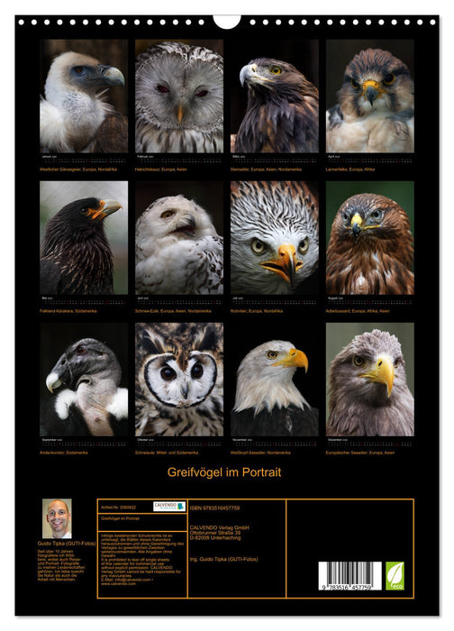 Greifvögel im Portrait (CALVENDO Wandkalender 2026)