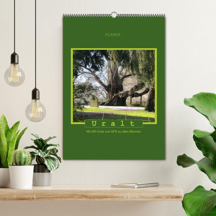 Uralt - Mit QR-Code und GPS zu alten Bäumen (CALVENDO Wandkalender 2026)