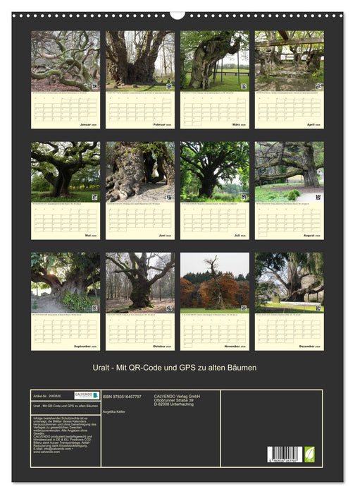 Uralt - Mit QR-Code und GPS zu alten Bäumen (CALVENDO Wandkalender 2026)