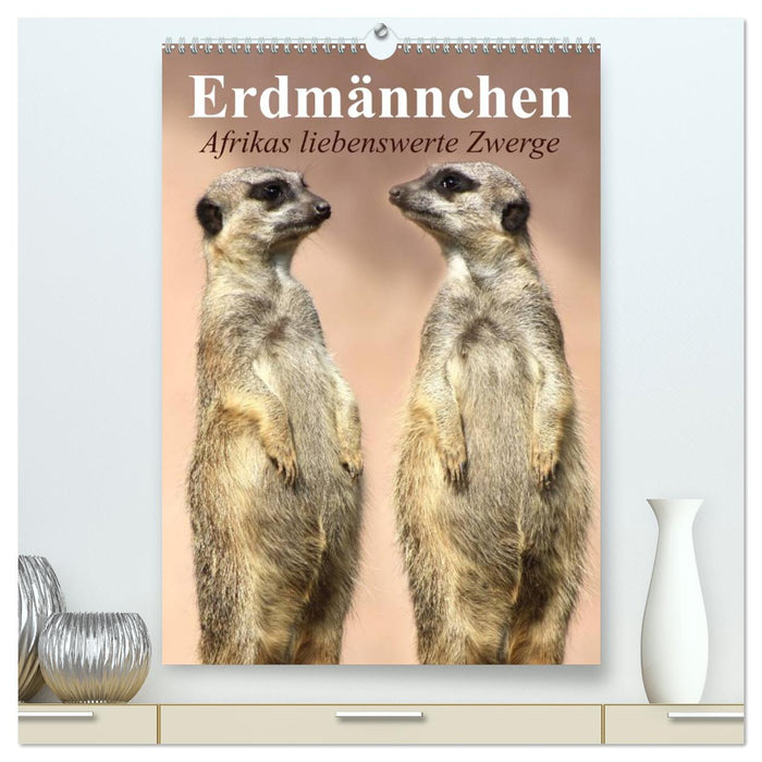 Erdmännchen - Afrikas liebenswerte Zwerge (CALVENDO Premium Wandkalender 2026)