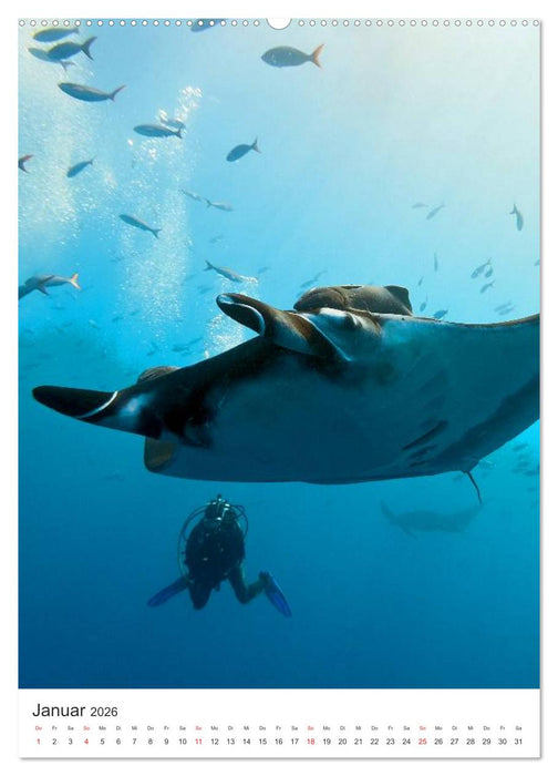 Malediven - Träumen im Paradies (CALVENDO Premium Wandkalender 2026)