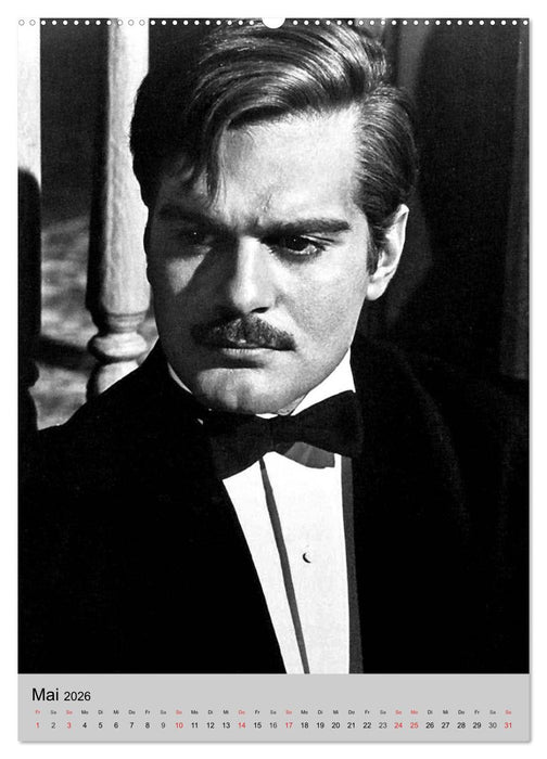 Filmstars - Legenden der goldenen Filmjahre (CALVENDO Wandkalender 2026)