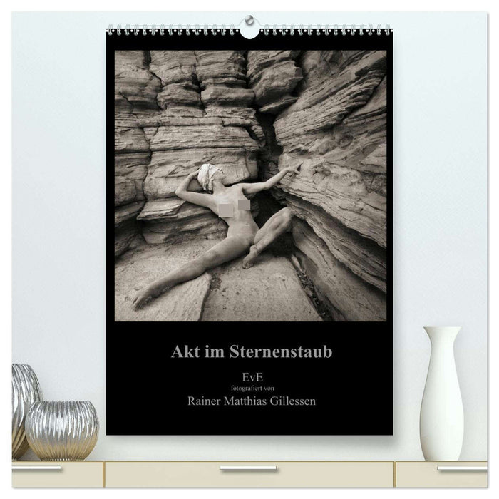 Akt im Sternenstaub EvE fotografiert von Rainer Matthias Gillessen (CALVENDO Premium Wandkalender 2026)