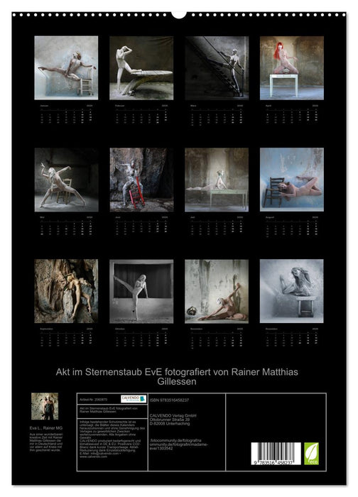 Akt im Sternenstaub EvE fotografiert von Rainer Matthias Gillessen (CALVENDO Premium Wandkalender 2026)