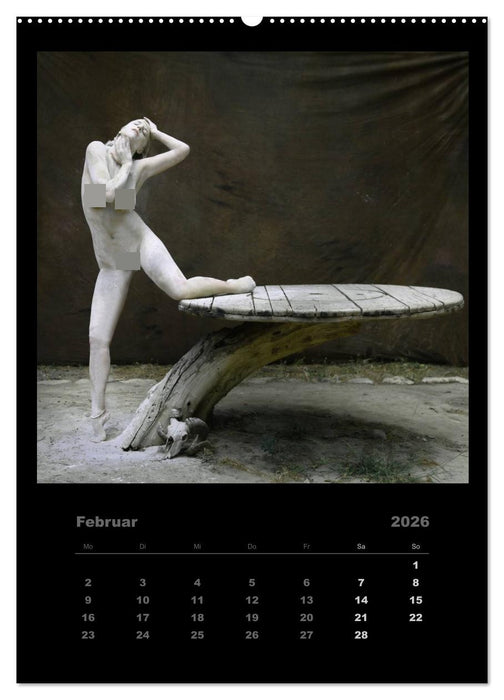 Akt im Sternenstaub EvE fotografiert von Rainer Matthias Gillessen (CALVENDO Premium Wandkalender 2026)