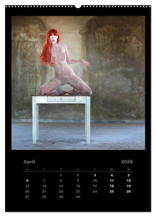 Akt im Sternenstaub EvE fotografiert von Rainer Matthias Gillessen (CALVENDO Premium Wandkalender 2026)