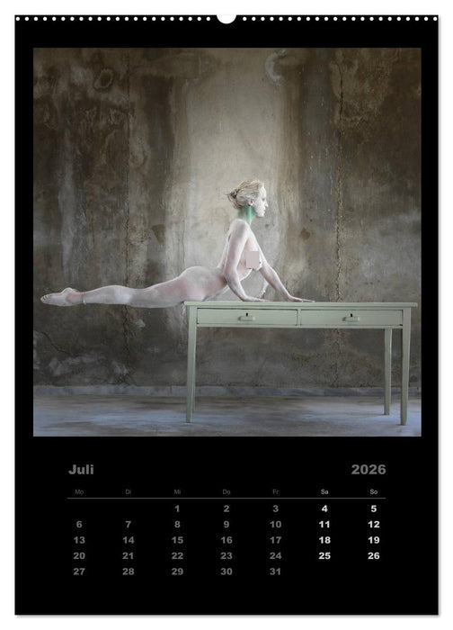 Akt im Sternenstaub EvE fotografiert von Rainer Matthias Gillessen (CALVENDO Premium Wandkalender 2026)