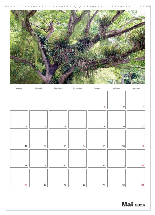 Venezuela - Land der Kontraste (CALVENDO Premium Wandkalender 2026)