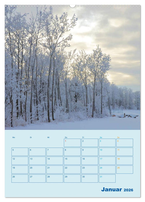 Wald- und Wiesenkalender 2026 Planer (CALVENDO Premium Wandkalender 2026)