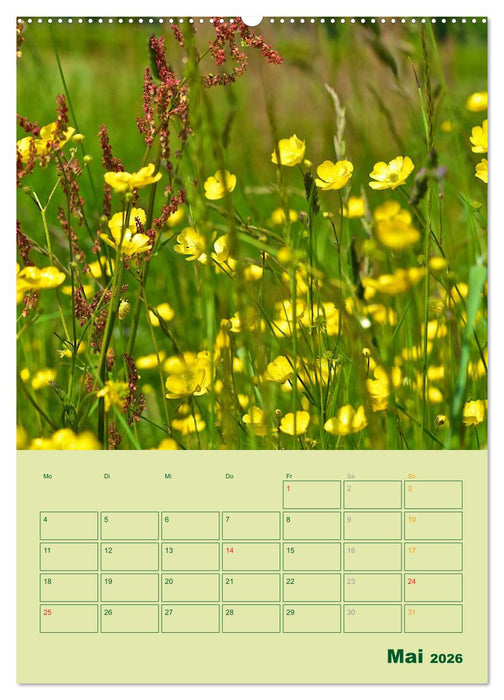 Wald- und Wiesenkalender 2026 Planer (CALVENDO Premium Wandkalender 2026)