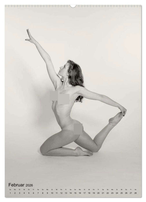 Akrobatische Aktfotos (CALVENDO Premium Wandkalender 2026)