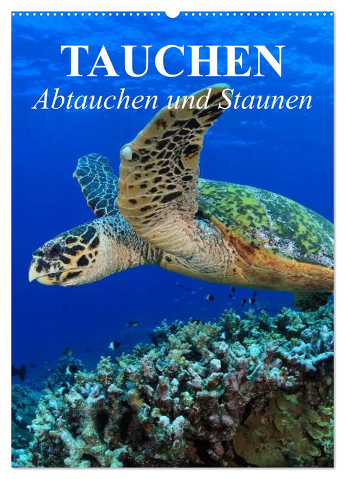 Tauchen - Abtauchen und Staunen (CALVENDO Wandkalender 2026)