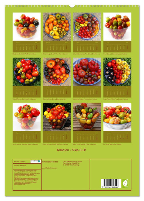 Tomaten - Alles BIO! (CALVENDO Premium Wandkalender 2026)