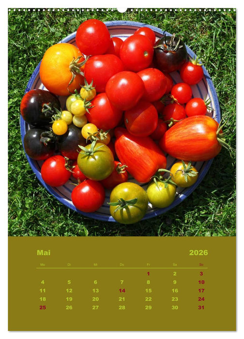 Tomaten - Alles BIO! (CALVENDO Premium Wandkalender 2026)