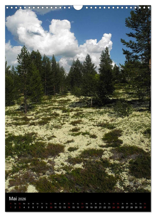 Paradiesisches Norwegen (CALVENDO Wandkalender 2026)