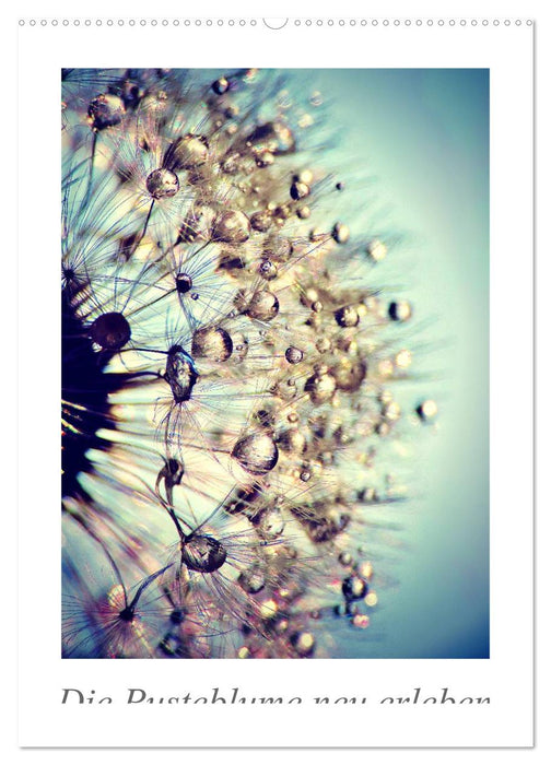 Die Pusteblume neu erleben (CALVENDO Wandkalender 2026)