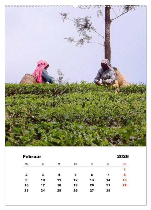 In Kerala (CALVENDO Premium Wandkalender 2026)