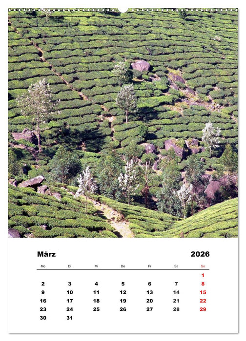 In Kerala (CALVENDO Premium Wandkalender 2026)