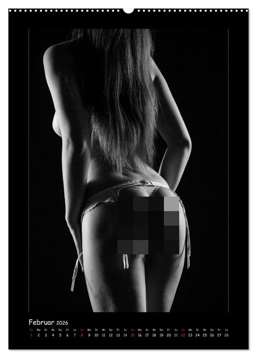 Anonymer Akt (CALVENDO Premium Wandkalender 2026)