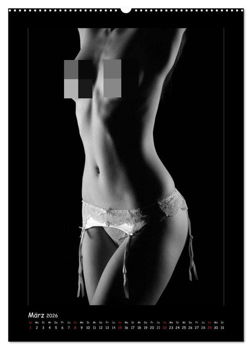 Anonymer Akt (CALVENDO Premium Wandkalender 2026)