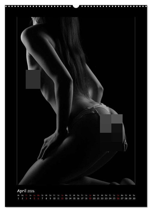 Anonymer Akt (CALVENDO Premium Wandkalender 2026)