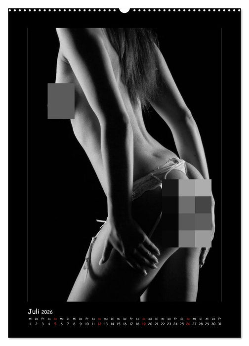 Anonymer Akt (CALVENDO Premium Wandkalender 2026)