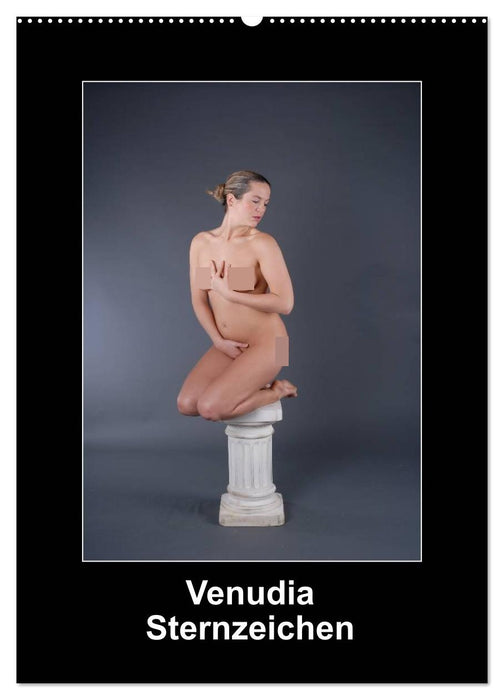 Venudia Sternzeichen - Aktfotografie (CALVENDO Wandkalender 2026)
