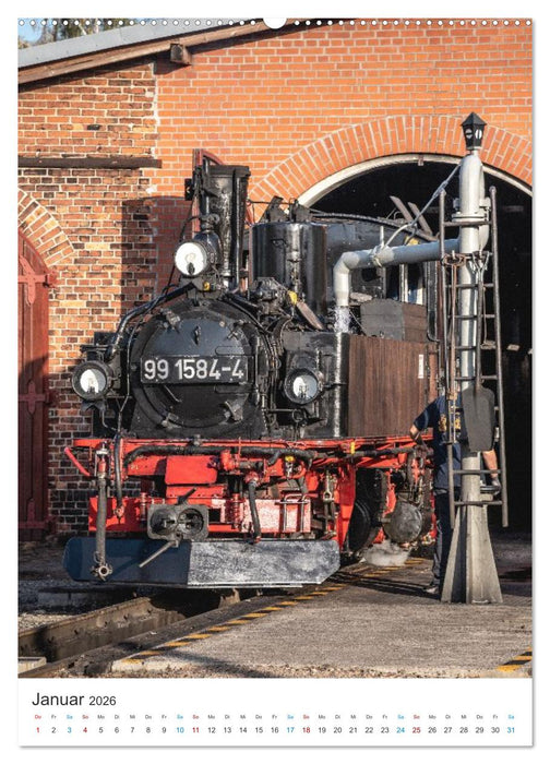 Dampfzeiten (CALVENDO Wandkalender 2026)