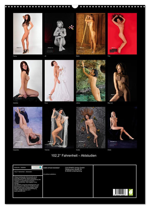 102,2° Fahrenheit – Aktstudien (CALVENDO Wandkalender 2026)