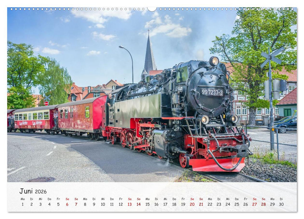 Wernigerode - Historische Fachwerkstadt am Harz (CALVENDO Wandkalender 2026)