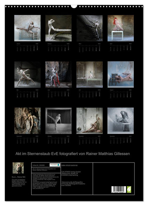 Akt im Sternenstaub EvE fotografiert von Rainer Matthias Gillessen (CALVENDO Wandkalender 2026)