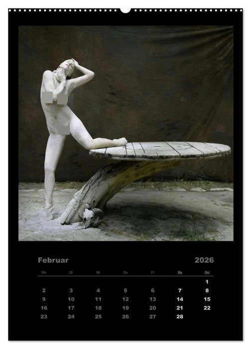 Akt im Sternenstaub EvE fotografiert von Rainer Matthias Gillessen (CALVENDO Wandkalender 2026)